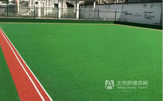 人工草坪門球場(chǎng)圖片