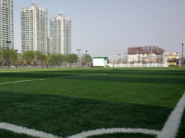 北京人造草足球場施工工程案例之朝陽區(qū)西岸體育公園